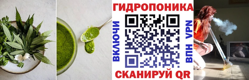 где купить наркотик  Навашино  Еда ТГК марихуана 