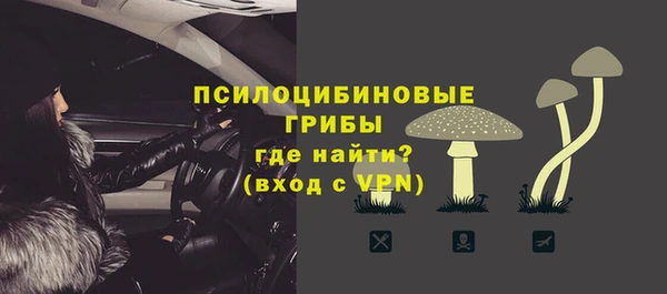 индика Армянск