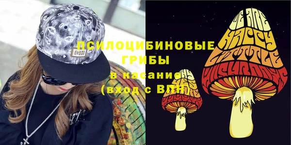 индика Армянск