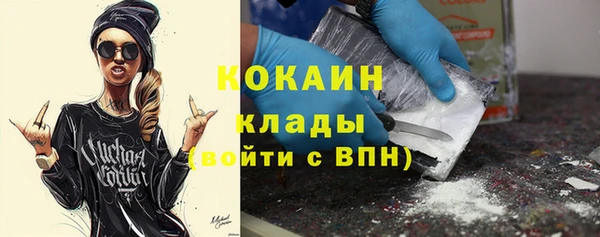 индика Армянск