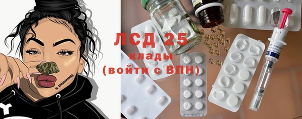 индика Армянск